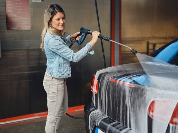 Best Exterior Home Cleaning  in Meadow Vista, CA
