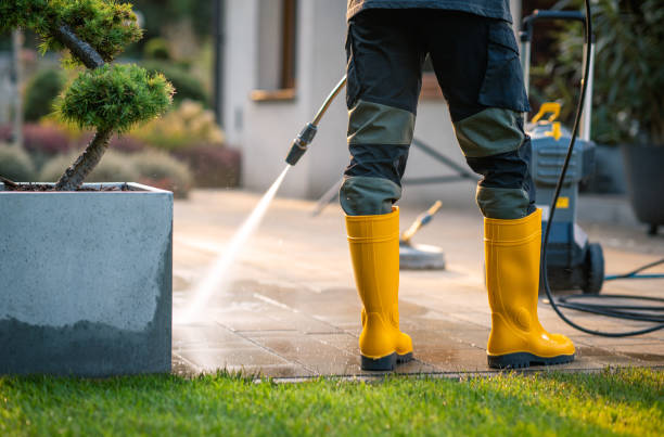 Best Pressure Washing Siding  in Meadow Vista, CA
